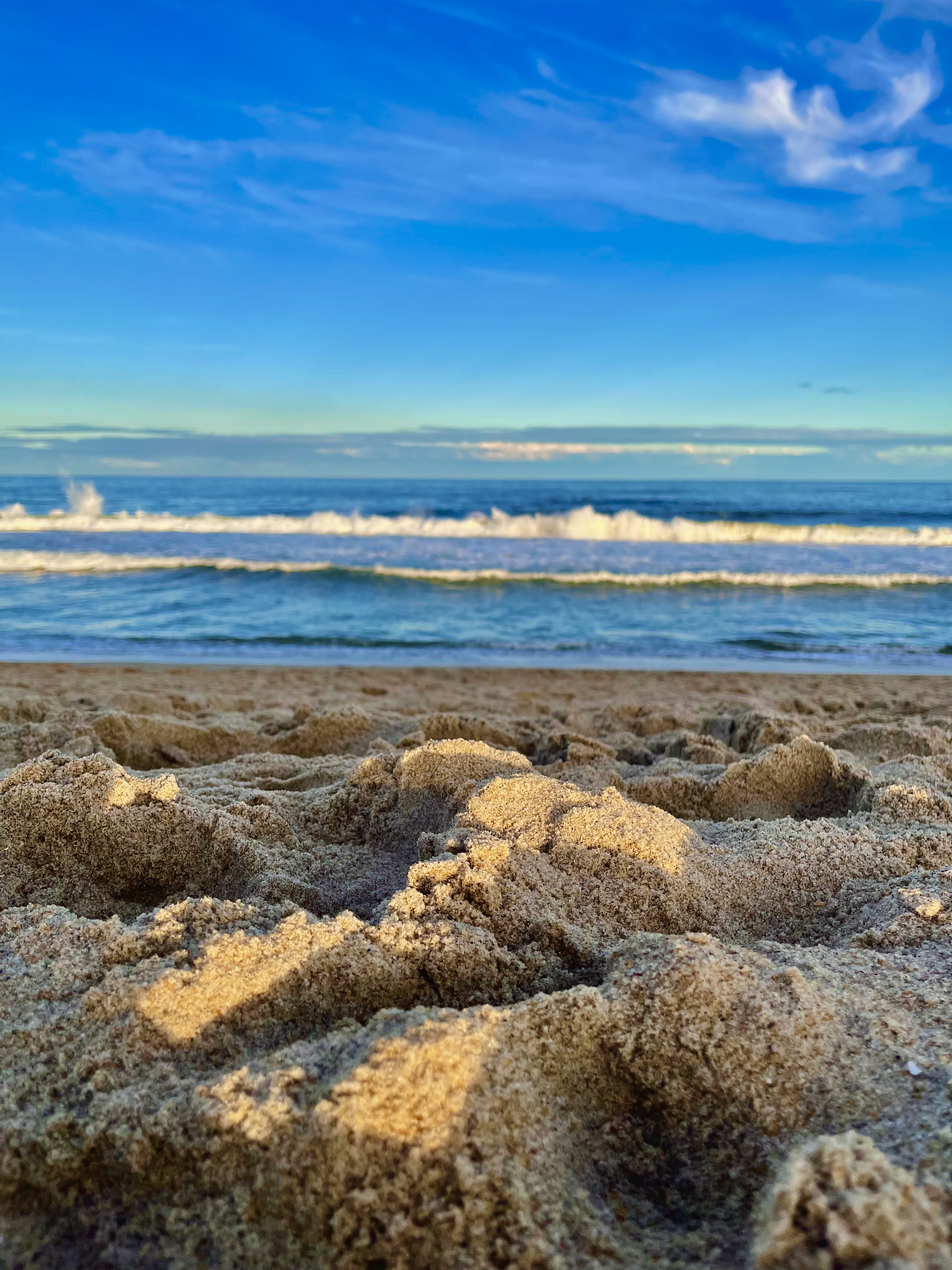 Beach landscape
