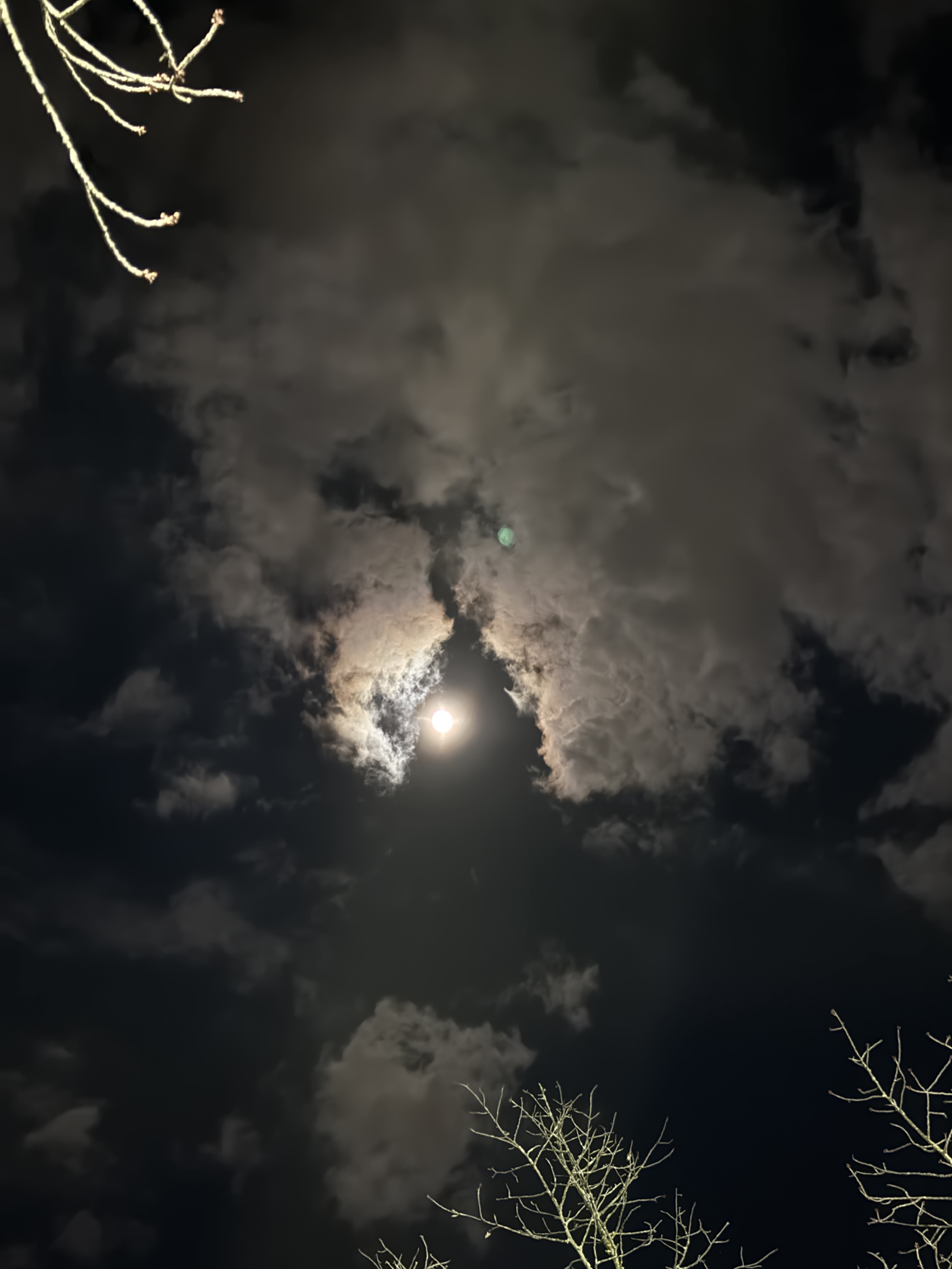 Bright moon in the night sky